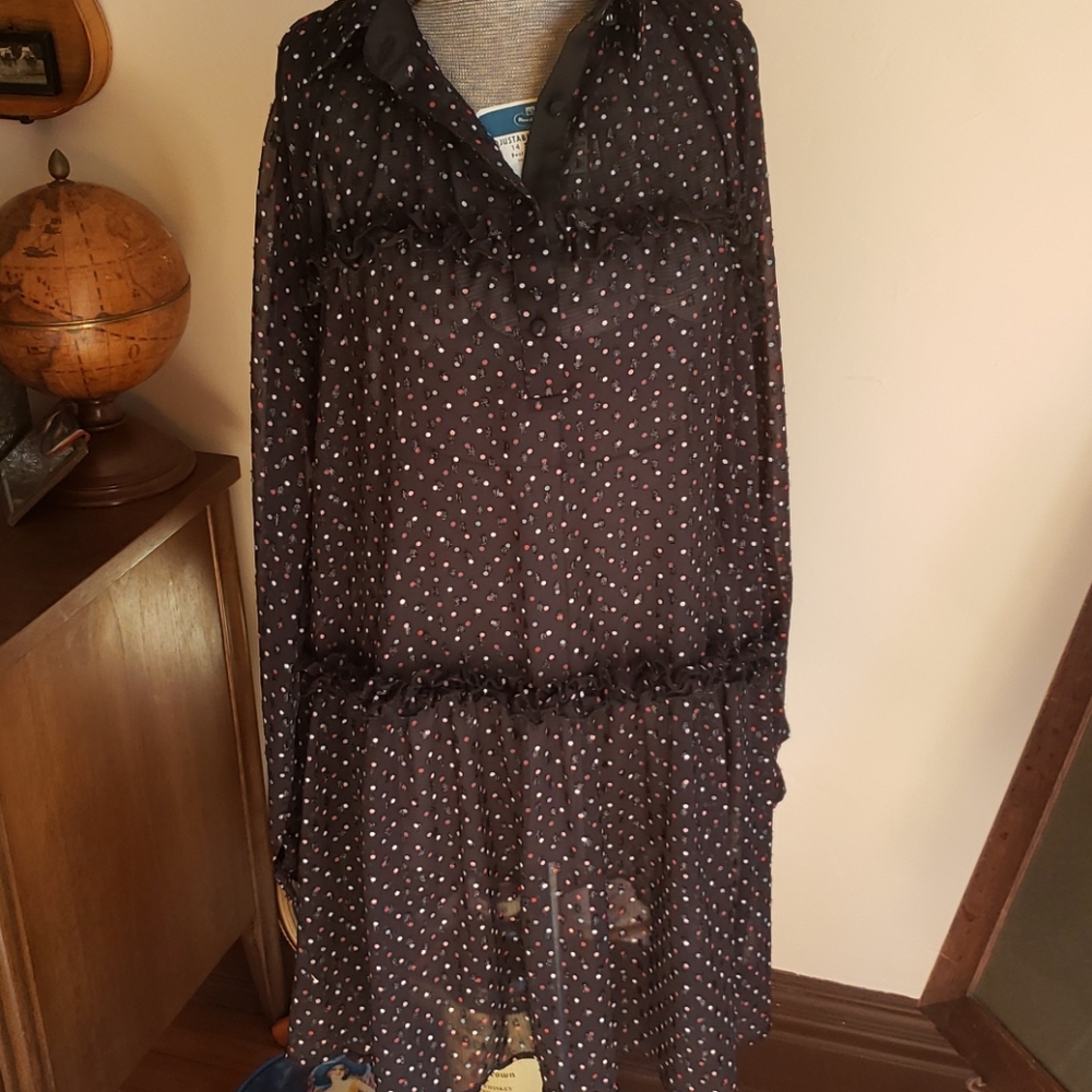 Sheer Eva Franco Long Sleeve Shift Dress Sz 6